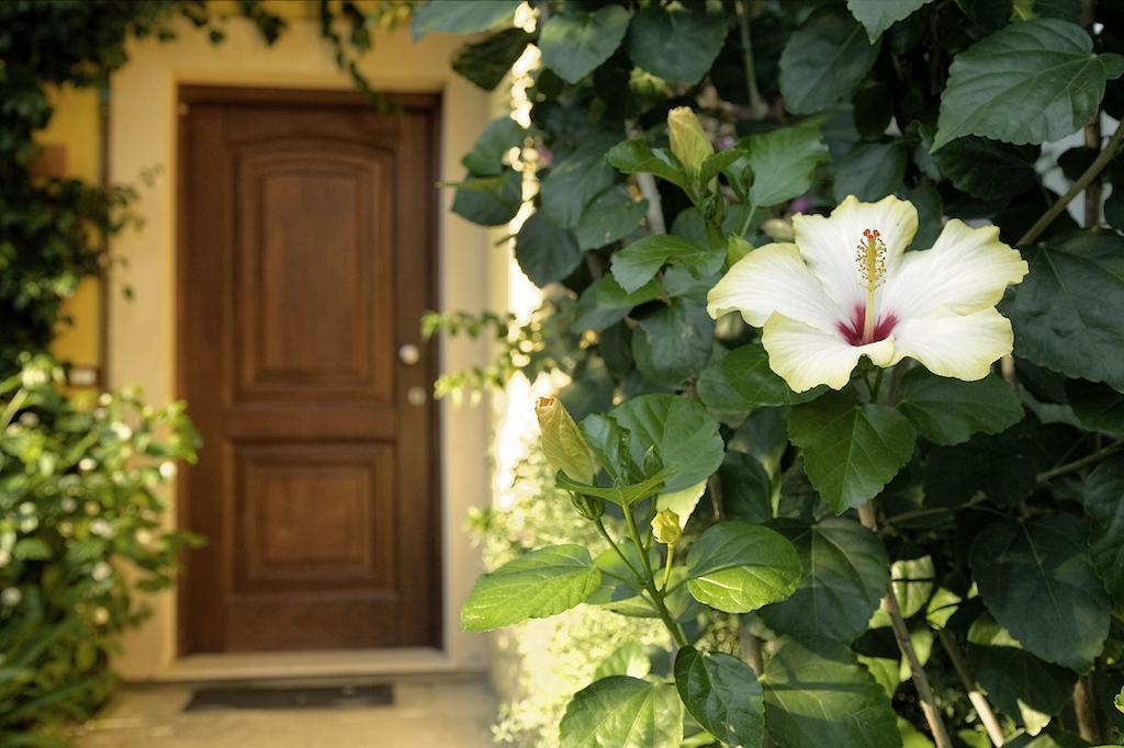 Bv Borgo Del Principe Hotel Zambrone Exterior photo